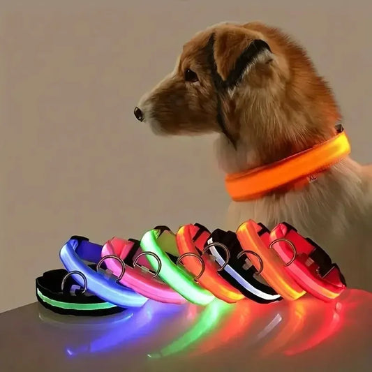 LED Dog Collar